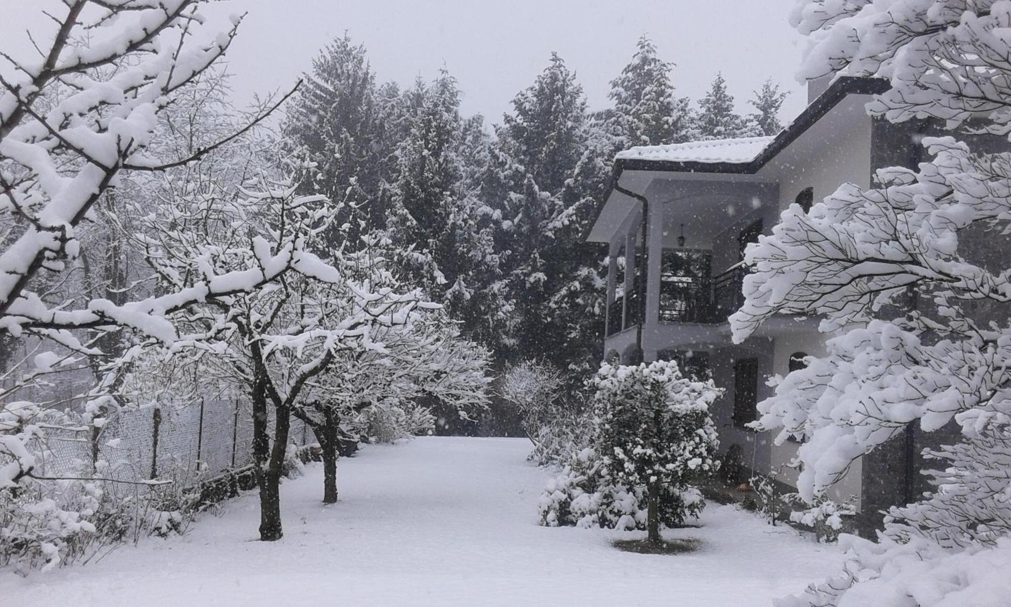 Le Bricolle Villa Viggiu Exterior photo